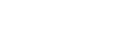 Standard IT & Tax