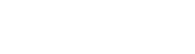 NTT Data