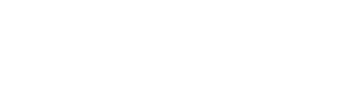 RevizIA